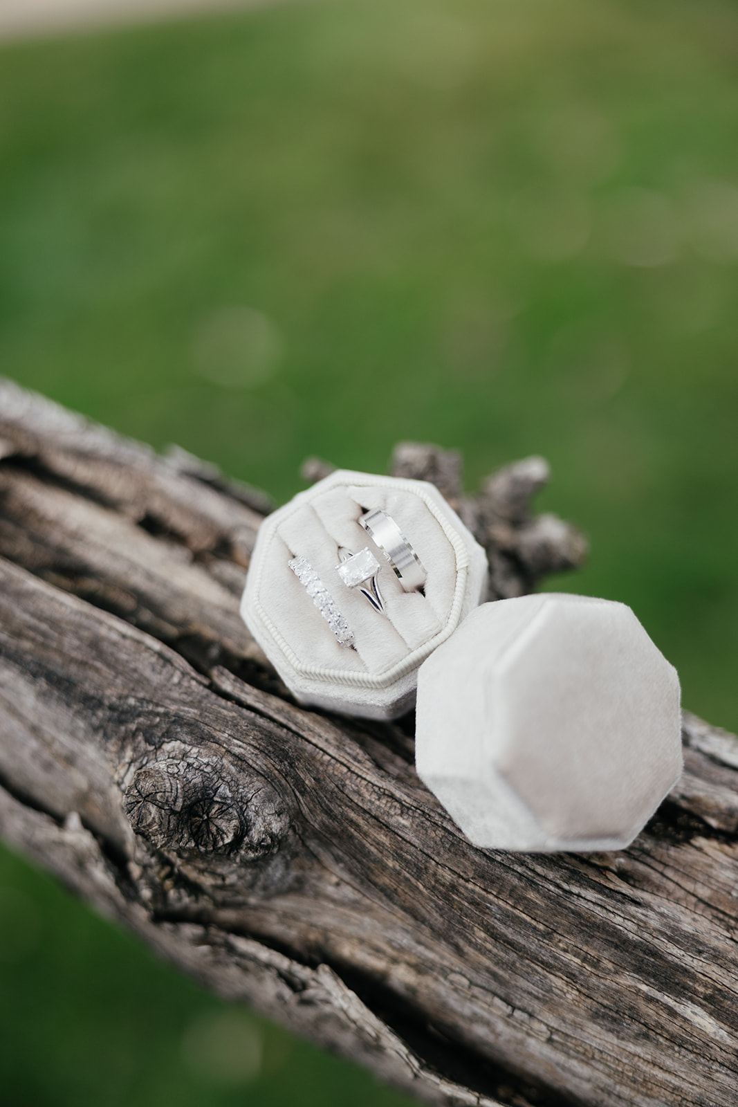 Helen & Matthew wedding — highlights, photo 5